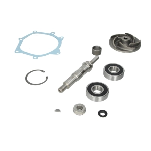 3641379M91, ZESTAW NAPRAWCZY POMPY WODY MASSEY FERGUSON LANDINI, 747771M91, U7LW0015