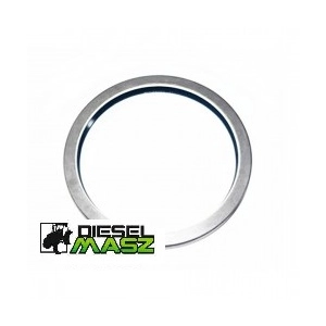 SIMMERING 165x190x17 METALEM PIASTY MF MASSEY FERGUSON CASE NEW HOLLAND 3019959X1
