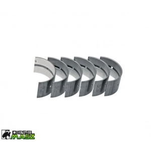 KOMPLET PANEWEK GŁÓWNYCH STD MASSEY FERGUSON 830897M91, 554332M91