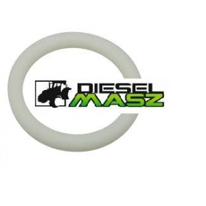 USZCZELKA 55x70x8 CASE STEYR,11353480,3656929M1,11353480, 340404A1, 3656929M1