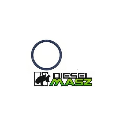 USZCZELNIACZ CASE,6000104429,702305A1,133741777, 406716A1, 6000104429, 702305A1