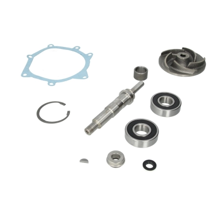 3641379M91, ZESTAW NAPRAWCZY POMPY WODY MASSEY FERGUSON LANDINI, 747771M91, U7LW0015