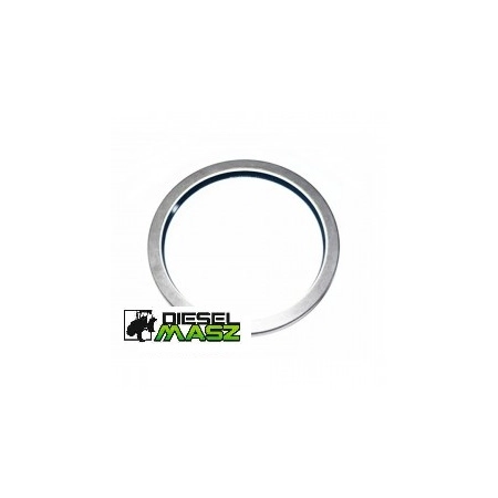 SIMMERING 165x190x17 METALEM PIASTY MF MASSEY FERGUSON CASE NEW HOLLAND 3019959X1
